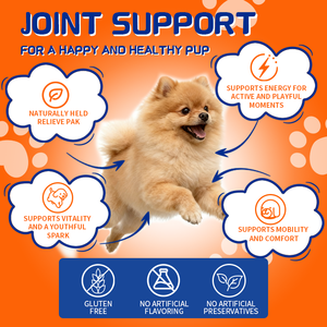 תוספת ללעוס ומפרק ללעוס לכלבים, גלוקוזאמין, תמיכה בניידות וגנים גדולים - Product Image 4