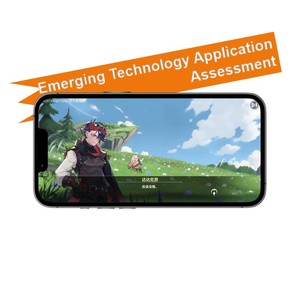 IP value maximization Game Development новая технология оценки приложений техническая поддержка - Product Image 1