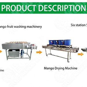 Elma/armut/Mango temizleme işleme ekipmanları meyve sebze yıkama kurutma işleme hattı - Product Image 3