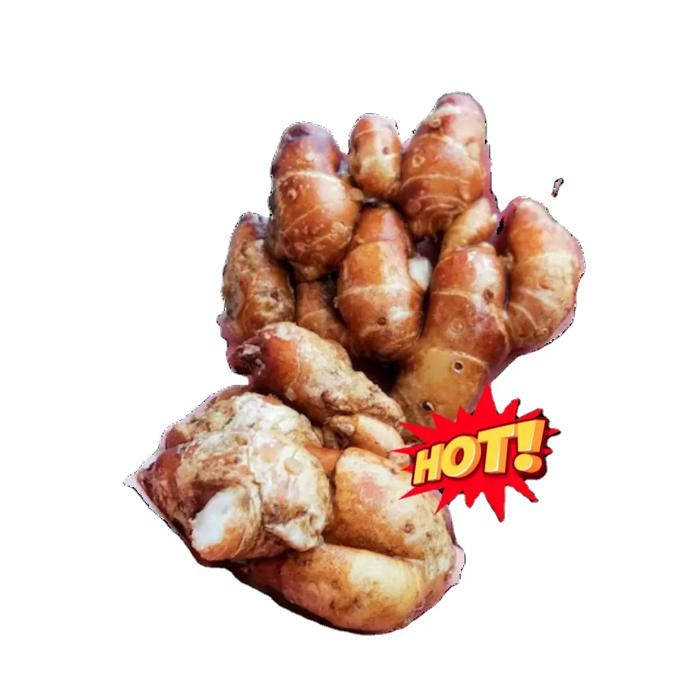 [BEST SALE] SAND GINGER/KENCUR/AROMATIC GINGER HIGH QUALITY 100% NATURAL AND BEST PRICE WHEN BUYING IN BULK FROM VIETNAM MARKET