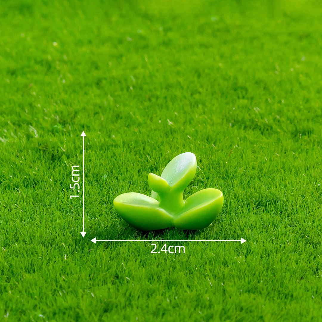 Grass