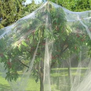 40mesh 60mesh HDPE Red antiinsectos Red a prueba de áfidos Red a prueba de insectos para invernadero 100g 120g 130g - Product Image 3