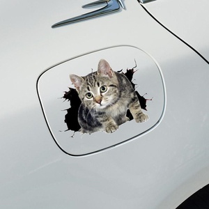 Transfer UV Window <strong>Car</strong> <strong>Decals</strong> Manufacturers, Vinyl <strong>Car</strong> <strong>Decals</strong> Body Sticker Fashion - Product Image 6
