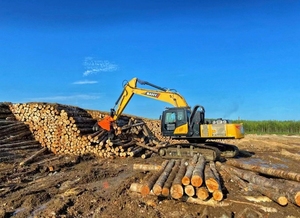 XUVOL Forestry Equipment <strong>Timber</strong> Clamp Wood Grab with 360&deg; Continuous Full Rotation Large Hydraulic Log Grapple Bunching Grapple - Product Image 6
