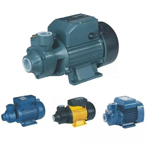 Küçük ev yüzey periferik kendinden emişli elektrikli QB60 QB80 su pompası