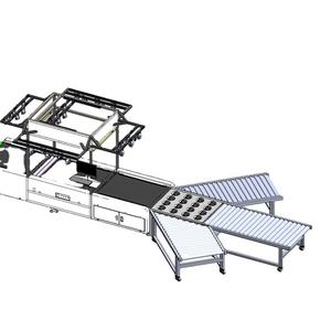 Máquina clasificadora de paquetes de alta calidad Máquina clasificadora del sistema Dws para paquetes de clasificación industrial logística - Product Image 1