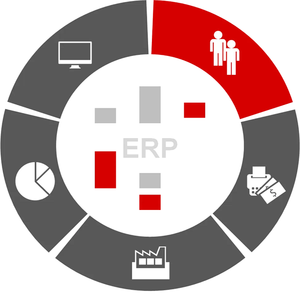 Top Deal 2024 Retail Software Service mit kunden spezifischer Funktion 100% sichere und entwickelte Software zum Verkauf durch Exporteure - Product Image 1