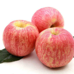 Ihracat kırmızı taze elma fuji elma meyve iyi fiyat ile - Product Image 3