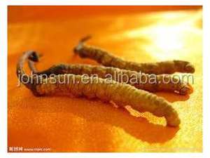 Гарантированное качество, уникальный Экстракт икры Paecilomyces Hepiali, кордицепс, сушеный - Product Image 5