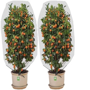 Fruit Saver Anti <strong>Insect</strong> Proof <strong>Net</strong> pp Mesh Bag Mesh for Green Tree Defender Thicken <strong>Bird</strong> Screen <strong>Garden</strong> Plastic Mesh Bag - Product Image 1