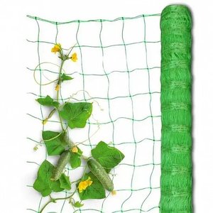 factory price cucumber <strong>net</strong> pea bean <strong>net</strong> <strong>tomato</strong> <strong>net</strong> - Product Image 6