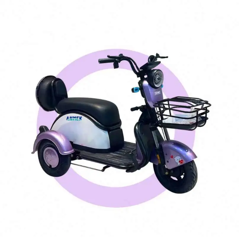 Dreirad elektrisch 3 Räder mit Motorrad Personenkraftwagen Motor für Fahrrad Erwachsene Räder Kinder Front-Tuk-Getriebe Kabine 2 Dreiräder