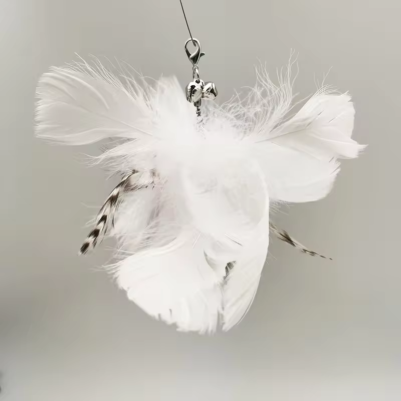 White feather