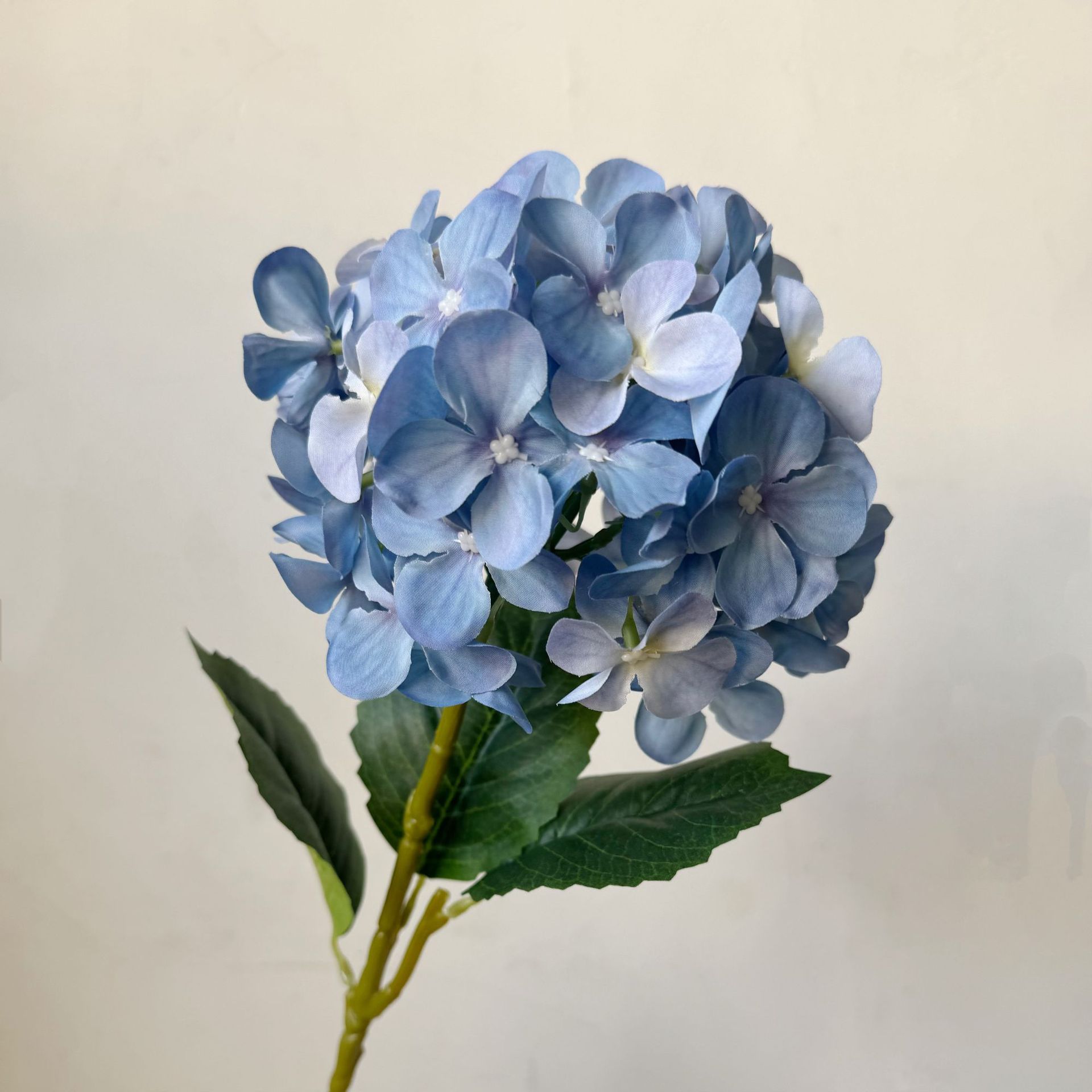 Bleu foncé