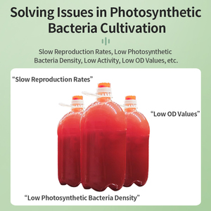 <span class=keywords><strong>Led</strong></span> Fotosynthese Bacteriën Cultuur Lamp Aquacultuur Moeras Rood Pseudomonas Cultuur Licht - Product Image 4