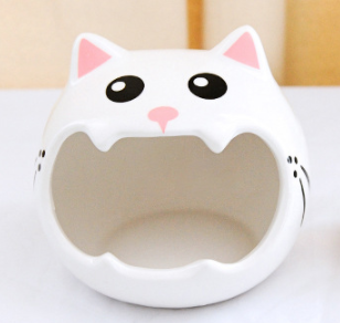 Chat blanc S