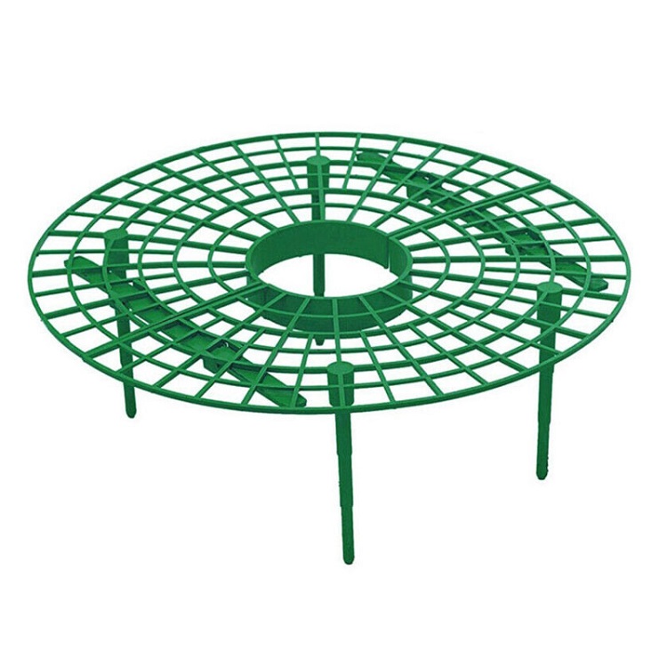 Vert