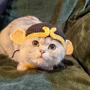 El yapımı örgü Pet golf sopası kılıfı, kedi ve köpek küçük cins kaprisli ve sevimli kostüm şapka - Product Image 1