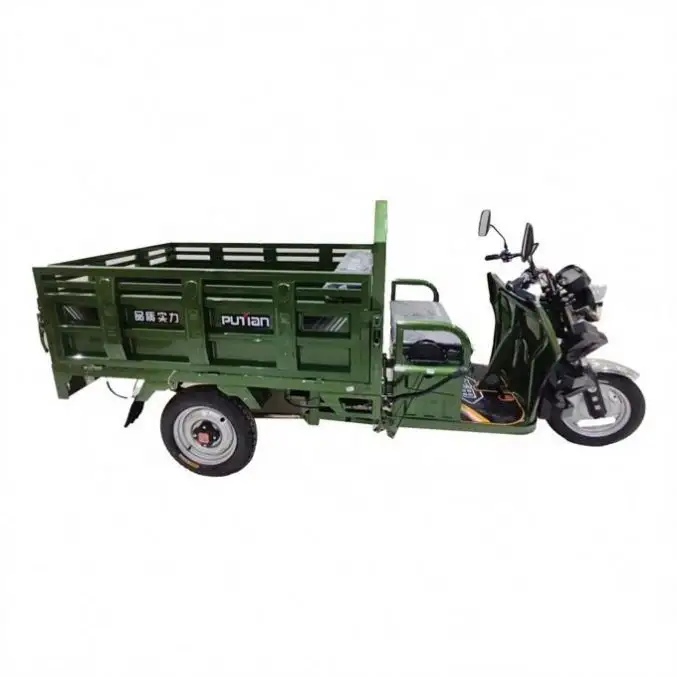 Top Fashion Green Motor Tricycle Reverse Trike Cargo Bike For Sale