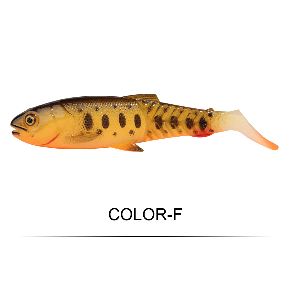Multicolore-F