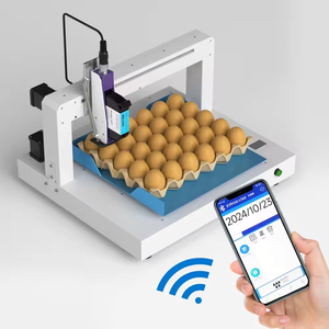 Impresora automática de inyección de tinta de huevo de un solo color para codificar la fecha de impresión y estampar el código de caducidad en metal y cajas de cartón - Product Image 1