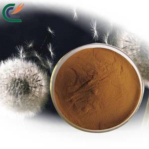 純粋な植物ハーブタンポポ根エキス粉末5% Taraxacum Flavonoids有機タンポポロースト根茶