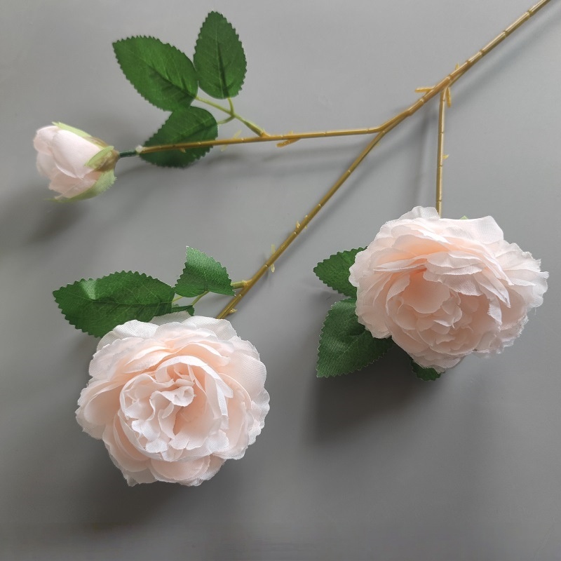2 grandes et 1 petite pivoine