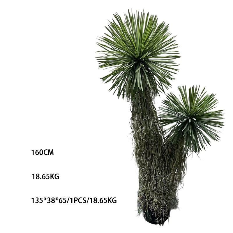 160cm