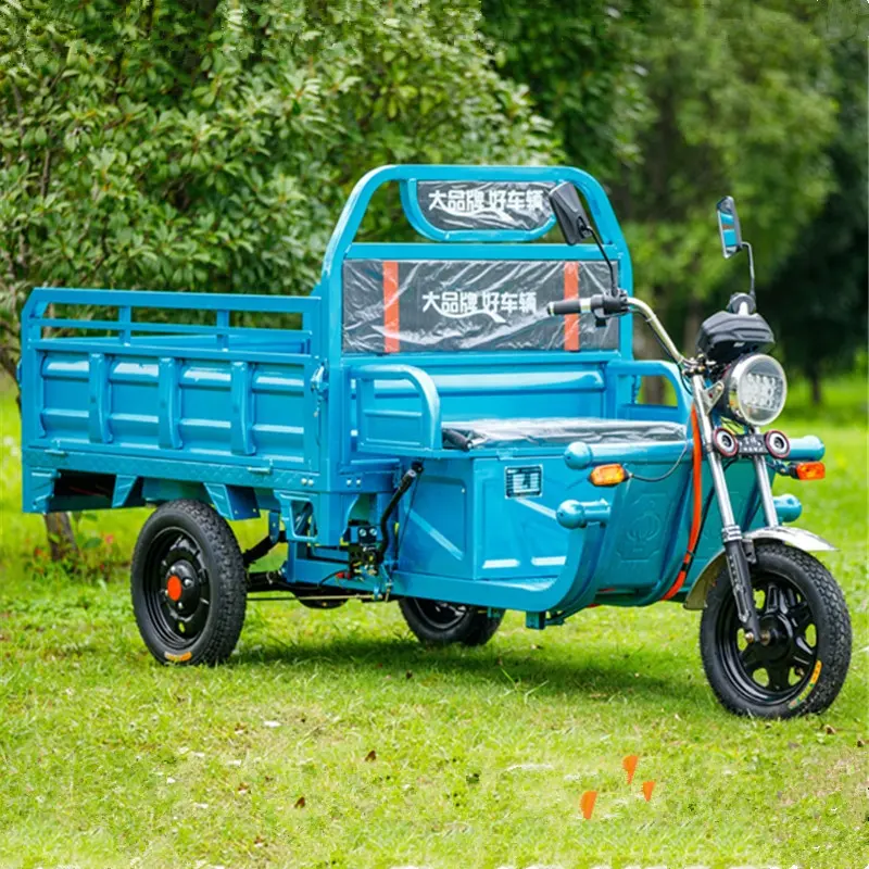 Popolare internazionale di alta qualità 60/72V 32AH 45AH 52AH 1000/2000W tre ruote triciclo elettrico cargo triciclo elettrico