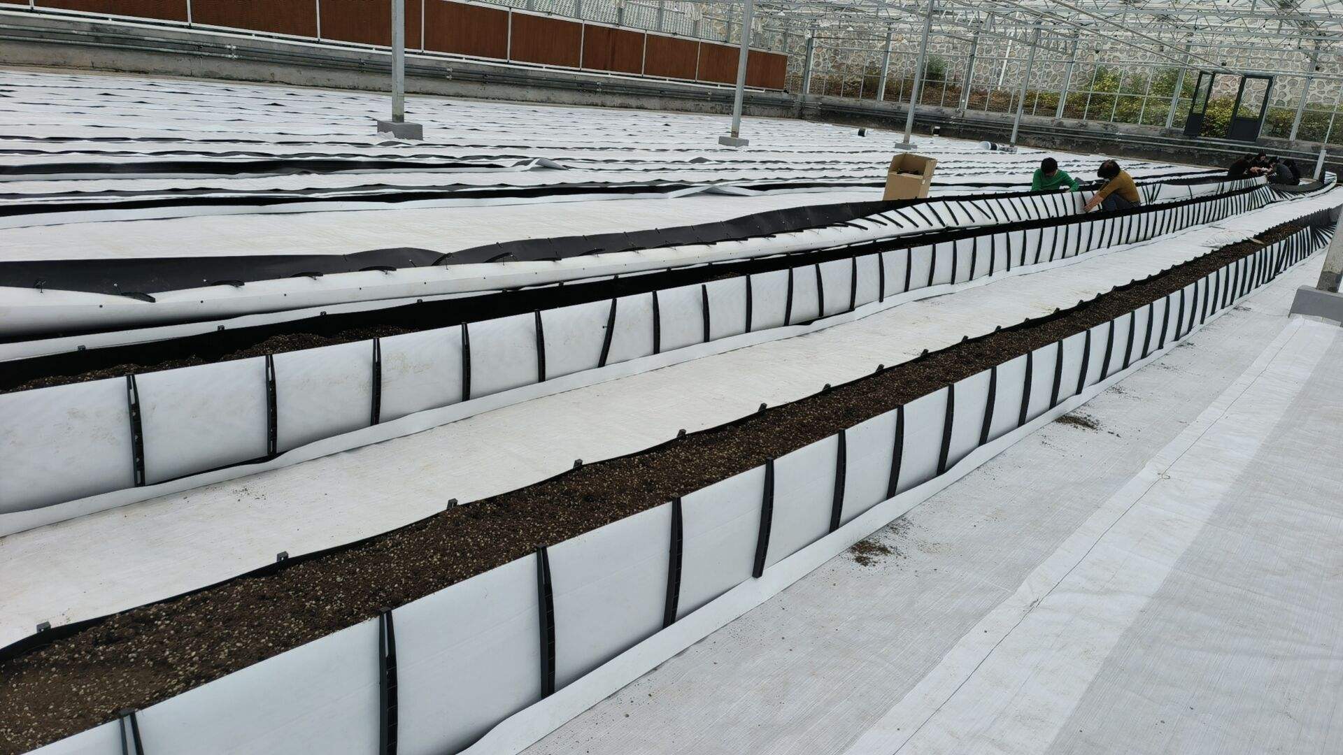 สีดำด้านในสีขาวด้านนอก