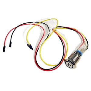 Icona di alimentazione a LED interruttore a pulsante momentaneo con cavo della scheda madre del Computer da 50cm 19mm 12v blu Push on 3A CQC,CCC 250VAC - Product Image 1