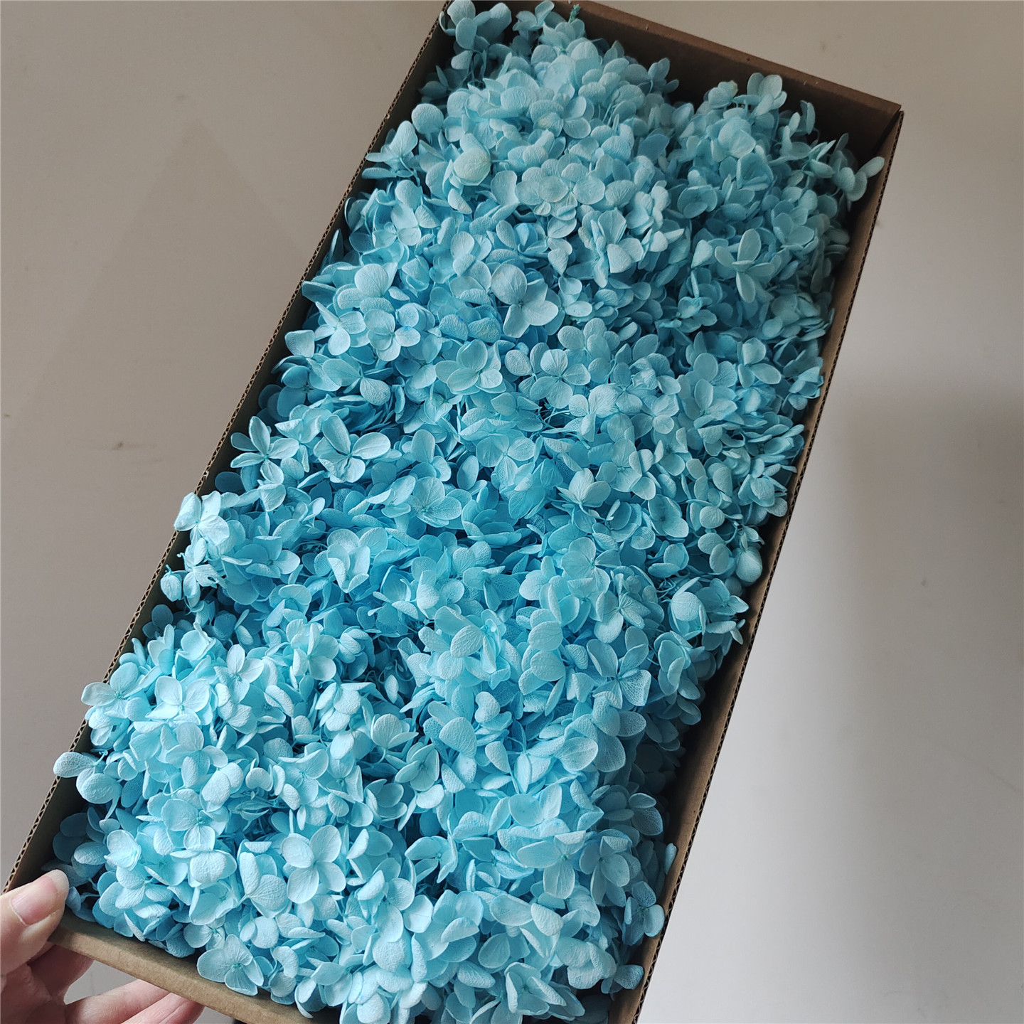 Light nili blue wood hydrangea-90-100g per box