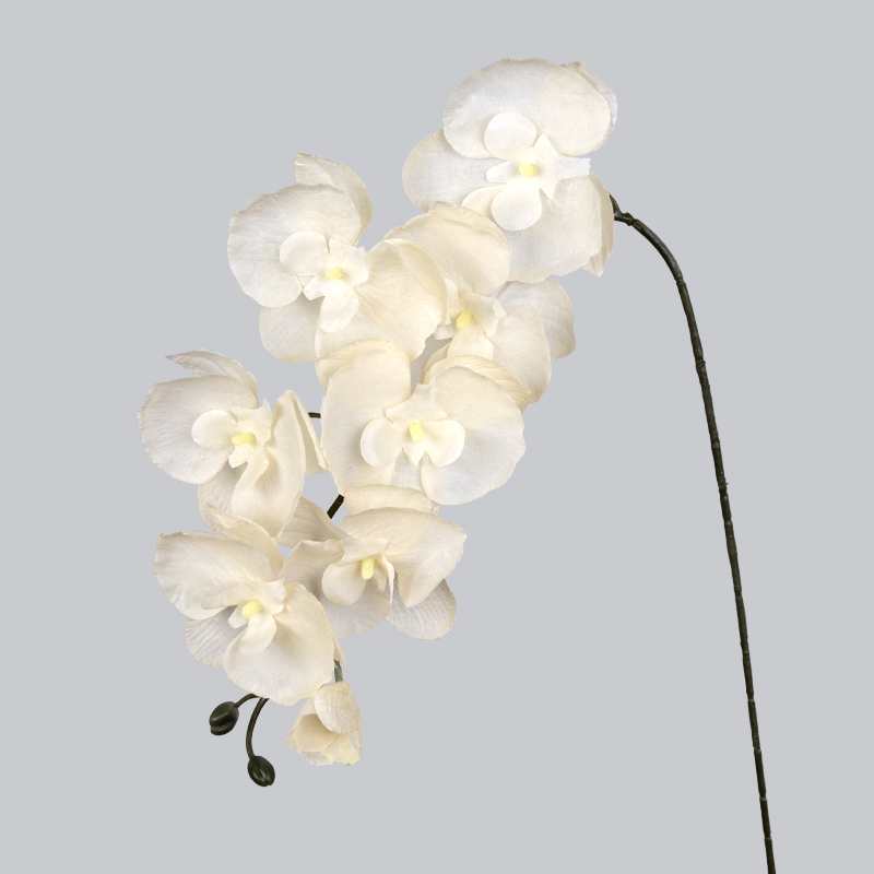 soie 8 Orichid-blanc