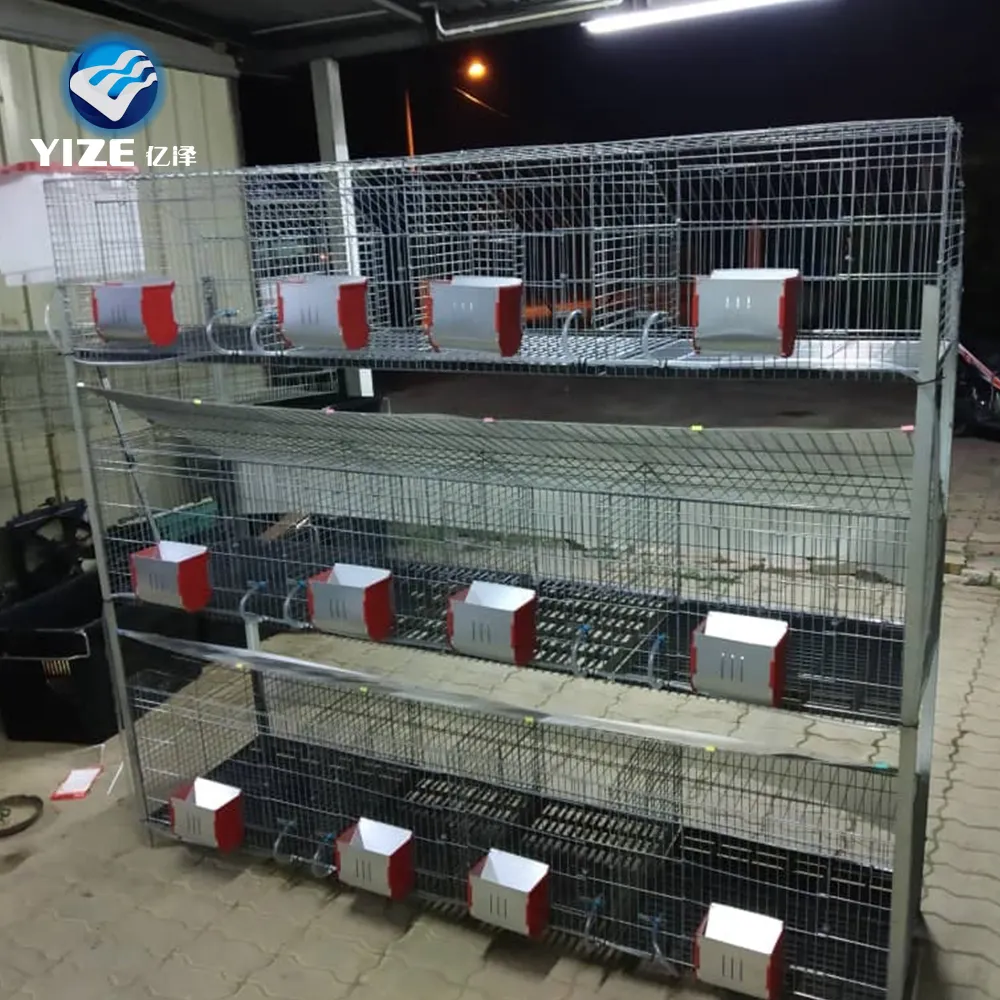 Cage d'élevage de lapins à prix usine, cages d'élevage de lapins, cages d'élevage commerciale à vendre
