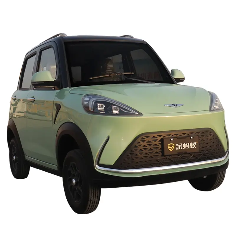 YANUO alta calidad Mini coche eléctrico timón izquierdo conducción para adultos vehículos de nueva energía hechos en China