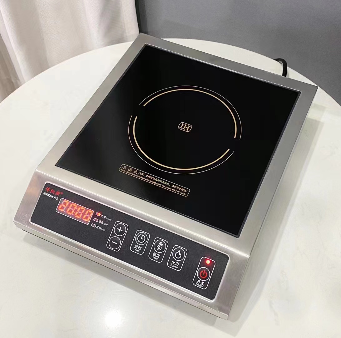 220V/3500W plastique plat + acier