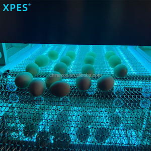 Chất lượng cao UV-C khử trùng Đường Hầm máy cho Trứng khử trùng - Product Image 3