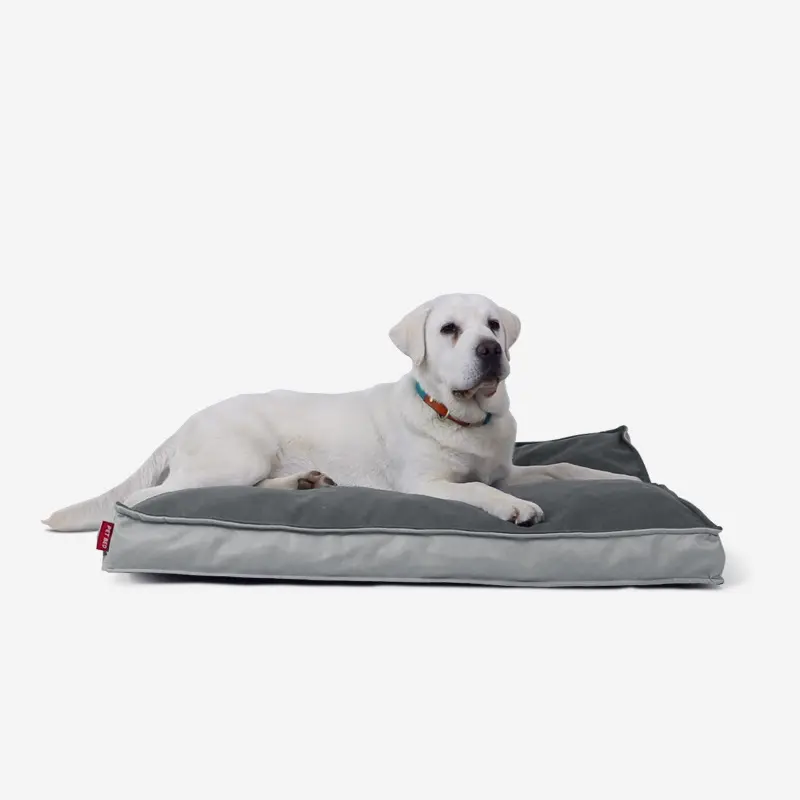 سرير الكلاب الأليفة المخصص أريكة الجرو الفرنسية بولدوج أكسسوارات الكلاب الكبيرة غطاء حصيرة قابلة للفصل قابل للغسل غطاء للكلب