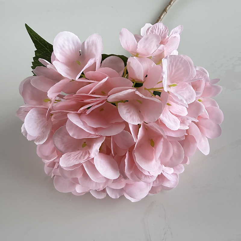 Pink 2
