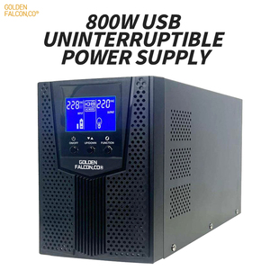 UPS线路交互式1KVa 800W正弦波220V输入交流220v输出，电流为4.5A - Product Image 2