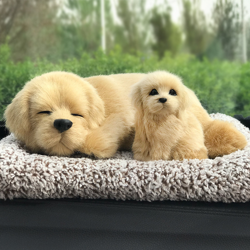 golden retriever accroupi, 200 g de cristaux nano minéraux