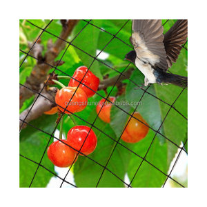 Reti da giardino agricole per la cattura di uccelli rete anti-nebbia per uccelli rete per uccelli in poliestere - Product Image 1