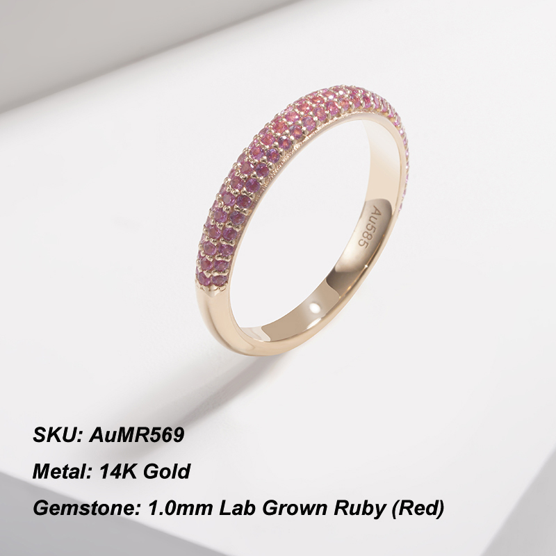 AuMR569