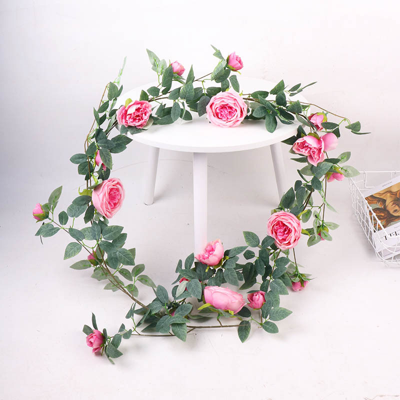 Nouvelle vigne de pivoine rose