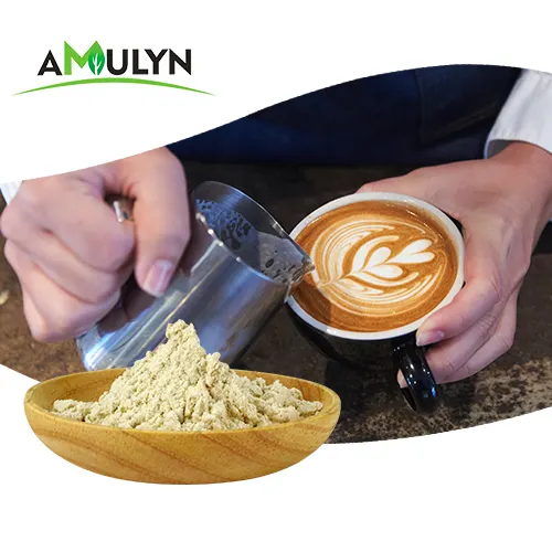 AMULYN-leche en polvo de Oat, Enzymolysis, para leche, café, helado