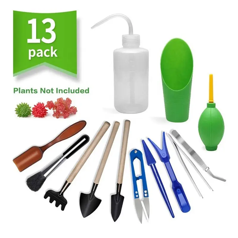 Kit de culture de plantes succulentes, 10 pièces, outils de plantation Miniature, petite kit de jardinage pour Terrarium, bonsaï