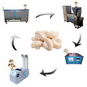 Máquina embolsadora de línea de producción de setas de alto rendimiento para un manejo eficiente de sustratos de hongos - Product Image 1