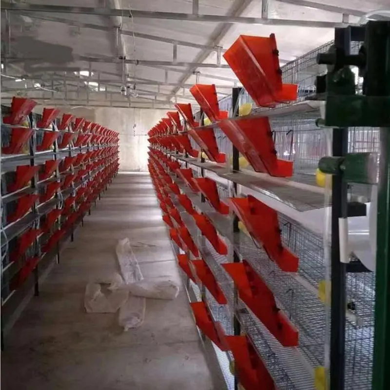 Alimentador de codornas de plástico durável, alimentador automático de codornas