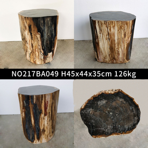 Benzersiz mobilya ev dekoratif fosil ahşap tabure çeşitli boyutu şekli renk - Product Image 4