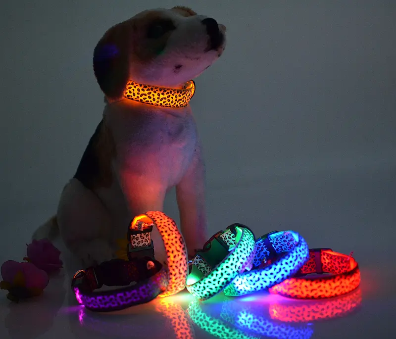 Pet LED Dog Collars Charge Nylon Flashing Light Up Led Dog Collar for Light Up Led Collars